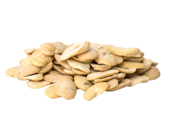 الفاصوليا البيضاء