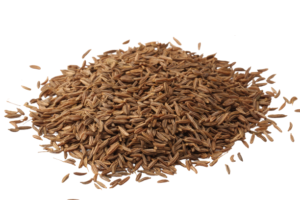 بذور الكراوية